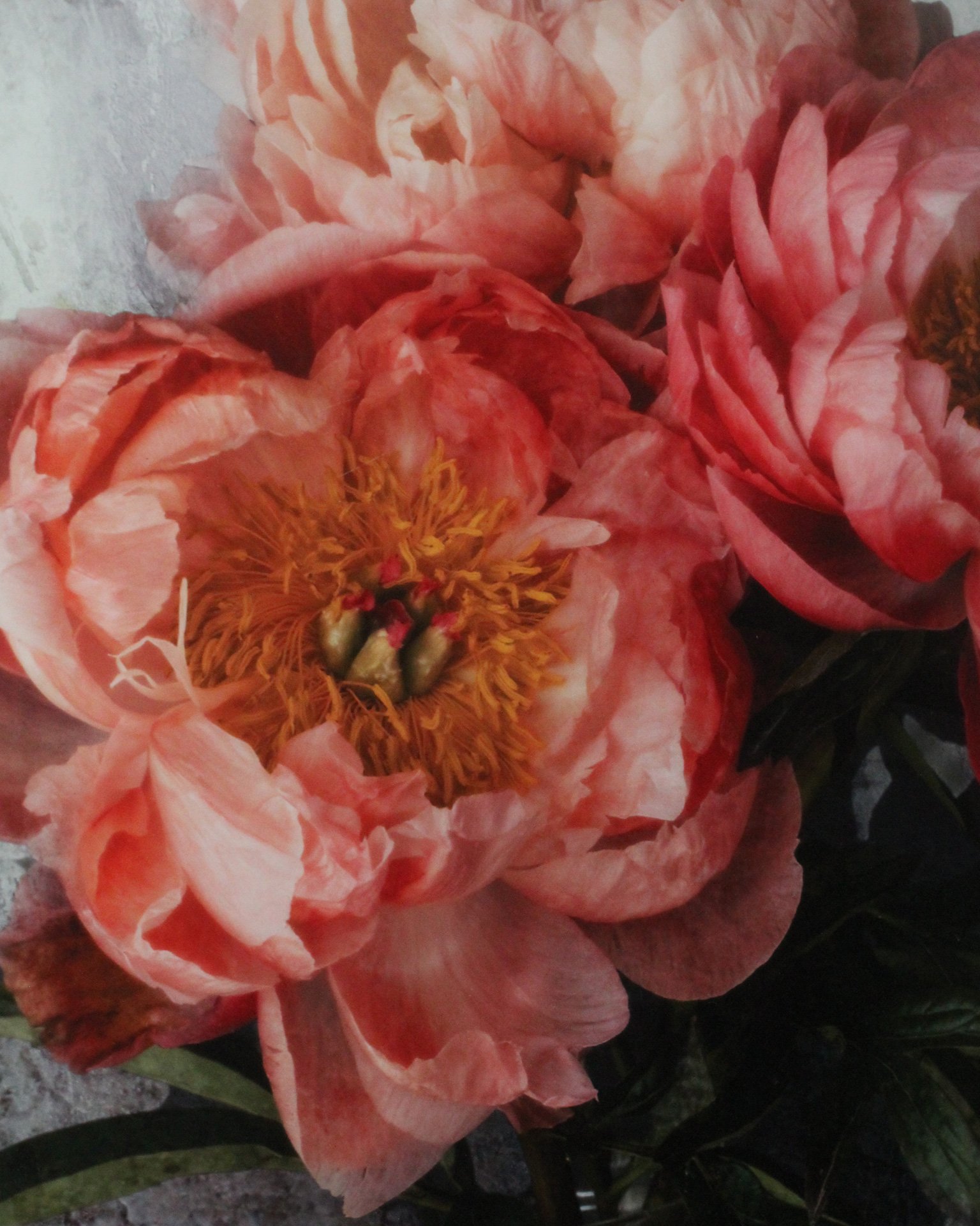 Rivet-vintage-gallery-shop-raglan