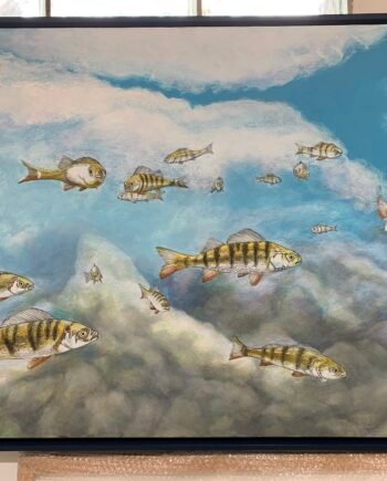Underwater wonderland - BruceMaclachan