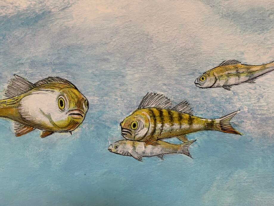 Underwater wonderland - BruceMaclachan