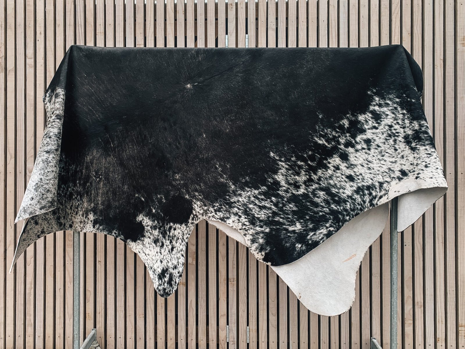 Large Cow Hide (Brazil) - Rivet - Vintage Shop & Gallery from Raglan